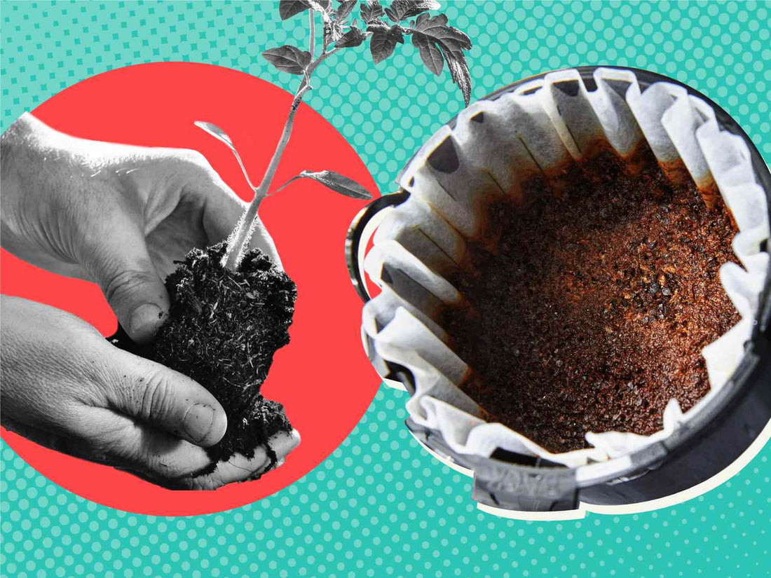 16 Creative Ways to Use Old Coffee Grounds
