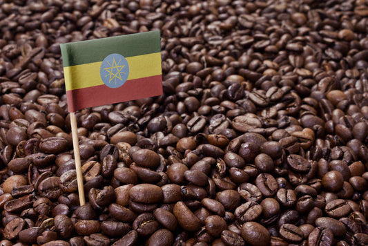 What’s special about Ethiopia and coffee?