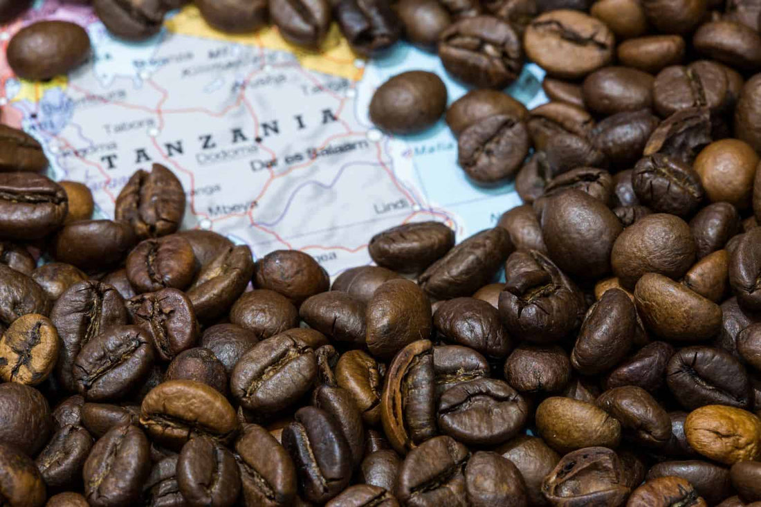 Featured Single Origin - Tanzania, Africa